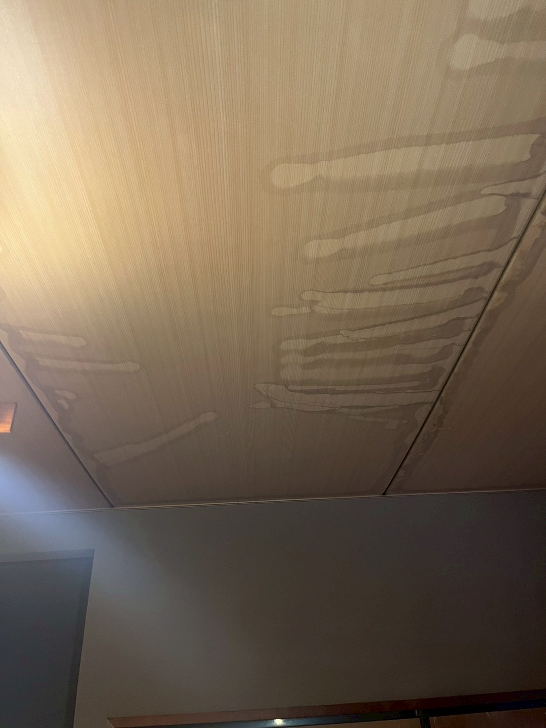 室内天井に広がる雨染み